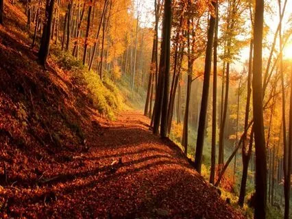 Theta Healing Meditation To Integrate Change