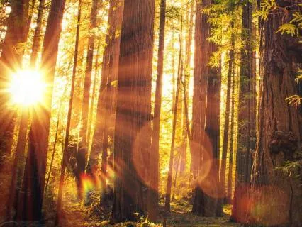 Theta Healing With Violet Light