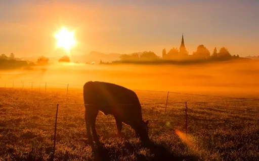 Theta Morning Session: Heilung und Schutz mit 432 Hz Musik