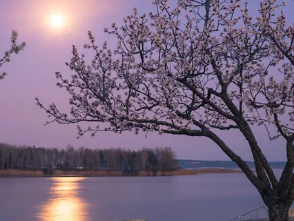 Theta Power Nap | 30''