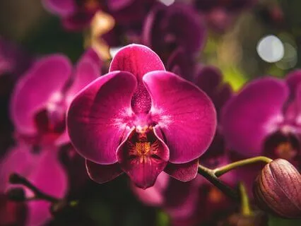 Theta Relaxation Sounds