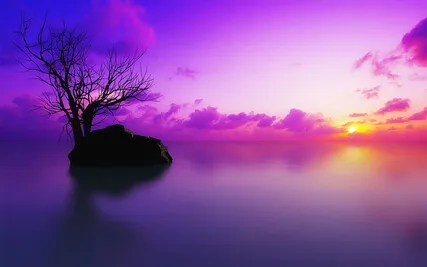 Theta Wave For Deep Sleep And Healing