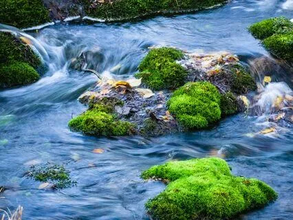 Theta Wave Yoga Nidra | 30-Min Deep Sleep Meditation