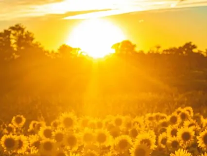 Theta Waves | 432 Hz Reiki Music For Higher Vibrations