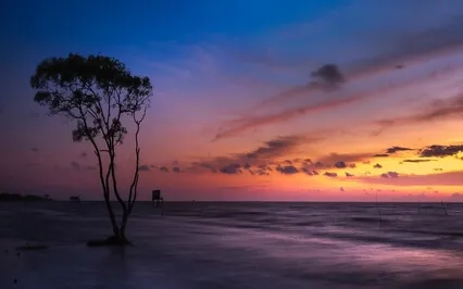 Theta Waves + Healing Peaceful