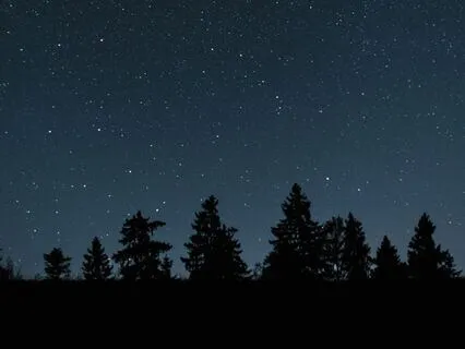 Theta Waves With Soothing Night Sounds And Crickets