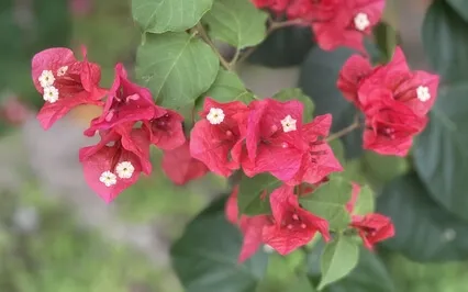 ThetaHealing Meditation For Safety