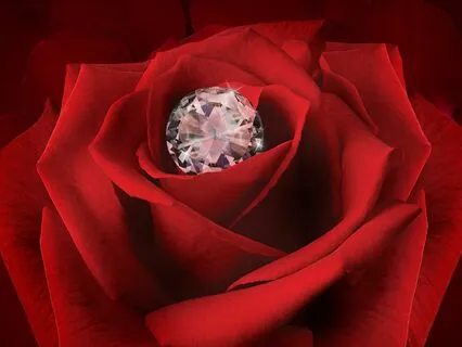 Thiền Tonglen - Lấy đi và Trao đi