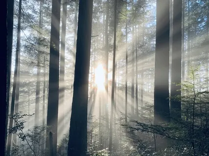 Things Are Always Working Out For Me 