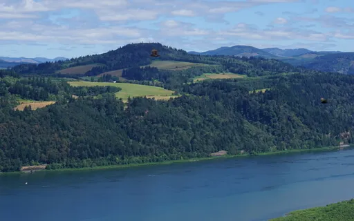 Things Avoid For New Years Goals 