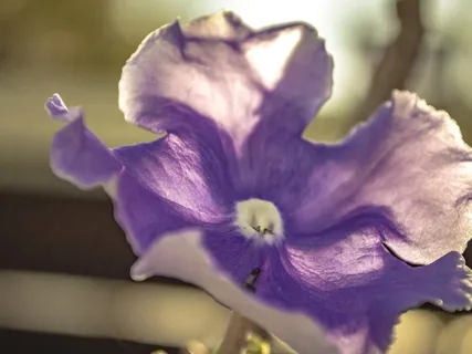 Things Get To Be Easy For You | Allow Ease Into Your Life