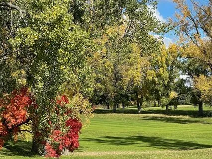 Things To Look Forward To