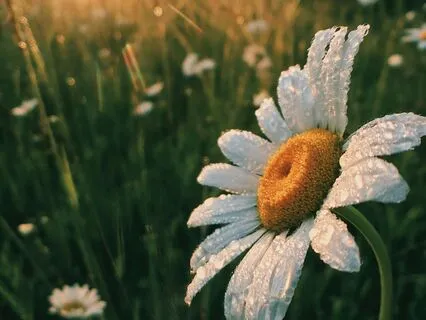 Things Work Out For Me - Mini Mindfulness Series