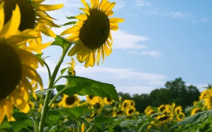 Things Your Inner Child May Need To Hear