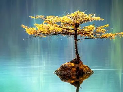 Thinking For Oneself