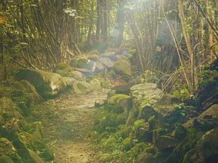 Thinking Into Being Music