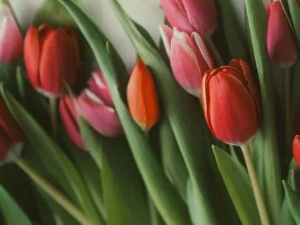 Thinking Is Not Doing: Stop Settling For Imagination