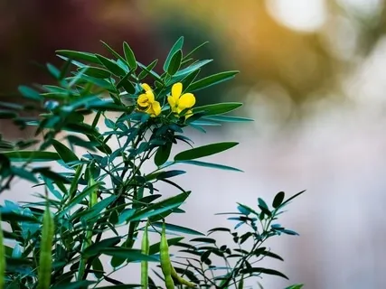 Thinking Kindly Of Each Other