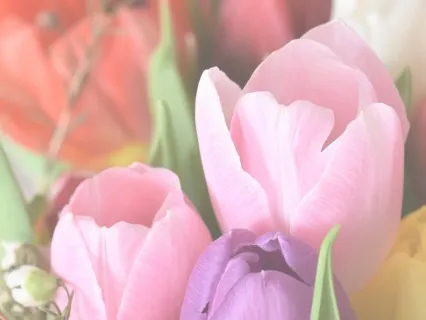 Thinking Slow And Thinking Fast