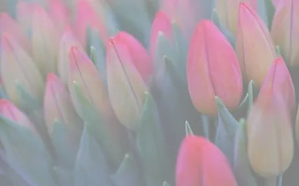 Thinking That We Have To Do It All