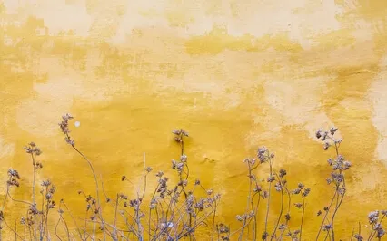 Third Chakra Empowering Affirmation Meditation