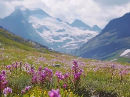 Third Eye Activation: Gateway To Inner Vision