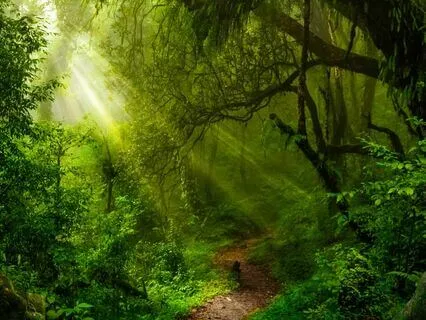 Third Eye Activation Meditation For Deeper Intuition