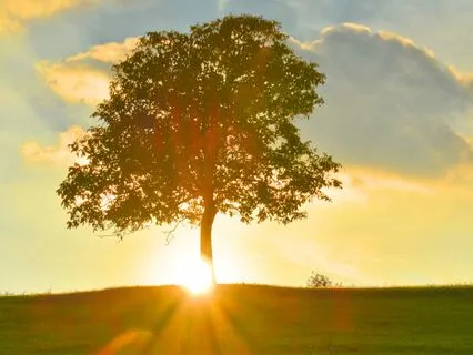 Third Eye Activation Meditation