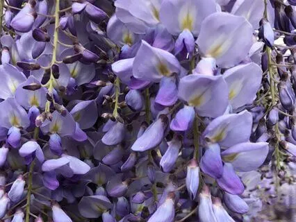 Third Eye Affirmations