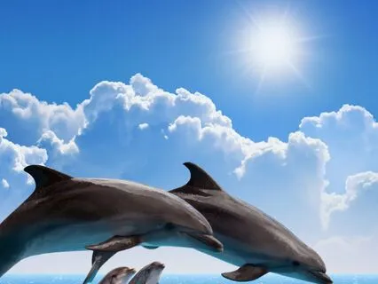 THIRD EYE: Atlantean High Council & Blue Ray Dolphins