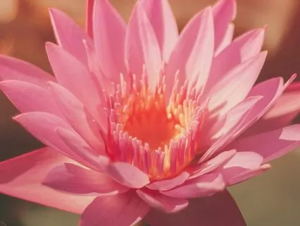 Third Eye Awakening: Shamanic Drumming To Open Third Eye