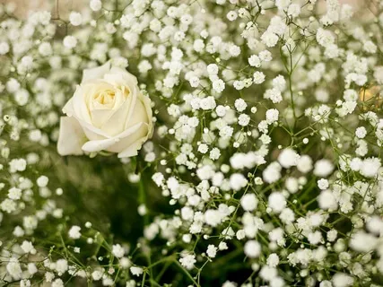 Third Eye Chakra Activation Meditation