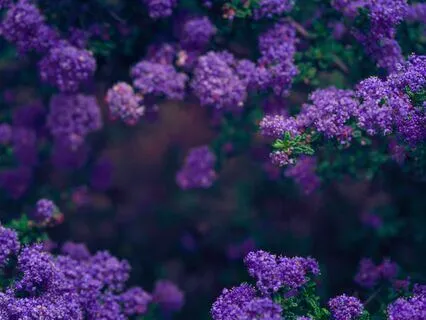 Third Eye Chakra Affirmations - Gaining Insight