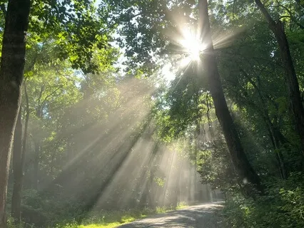 Third Eye Chakra Affirmations Without Music