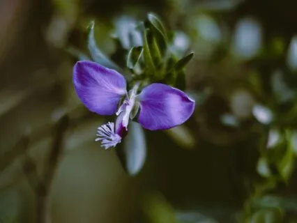 Third Eye Chakra Affirmations