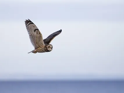 Third Eye Chakra Clearing