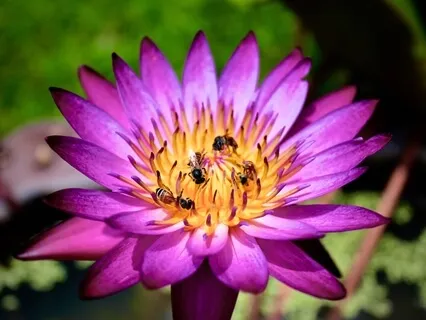 Third Eye Chakra, Frequency 144Hz Raises Awareness