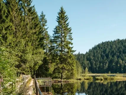 Third Eye Chakra- Insights On A Walk Around A Lake