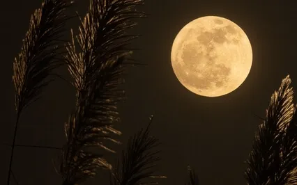 Third Eye Chakra Meditation