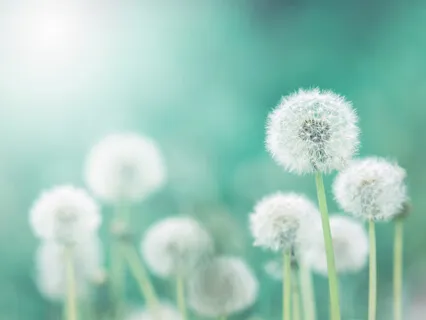 Third Eye Chakra Meditation