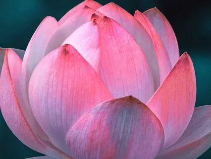 Third Eye Chakra Meditation - Awakening Ajna