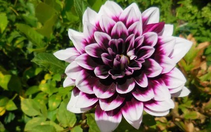 Third Eye Meditation Increases Intuition 