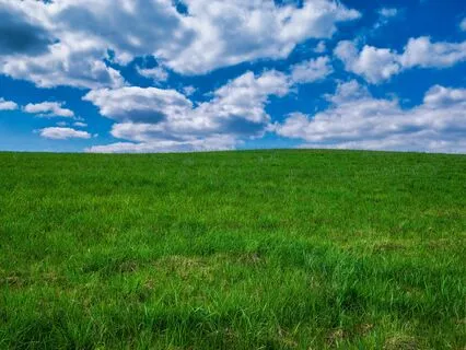 Third Eye Meditation