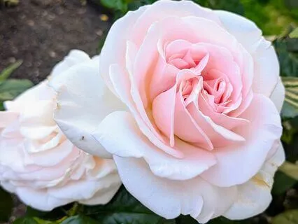 Third Eye Meditation