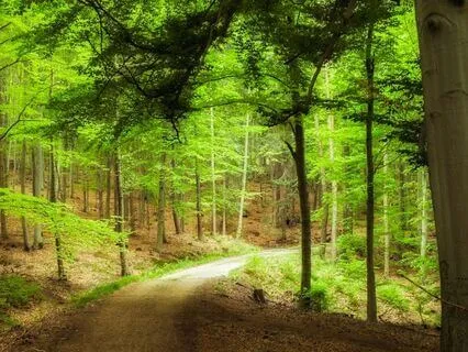 Third Eye Recalibration 852Hz