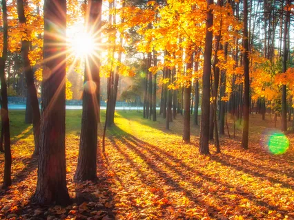 Third Foundation Of Mindfulness