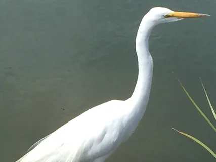 Third Mindfulness Meditation Practice