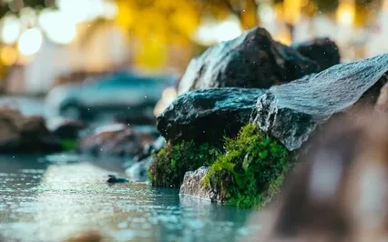 Third Sunday Of Advent - Joy!