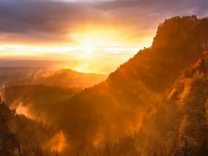 This Abundant World - A Poem