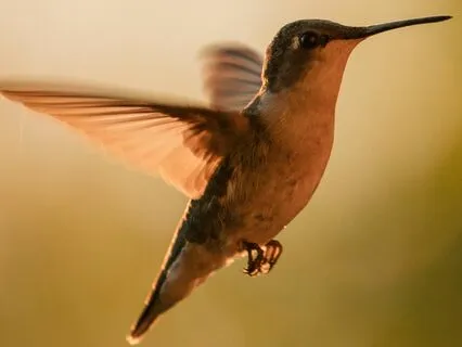 This Beautiful New Day: Morning Practice